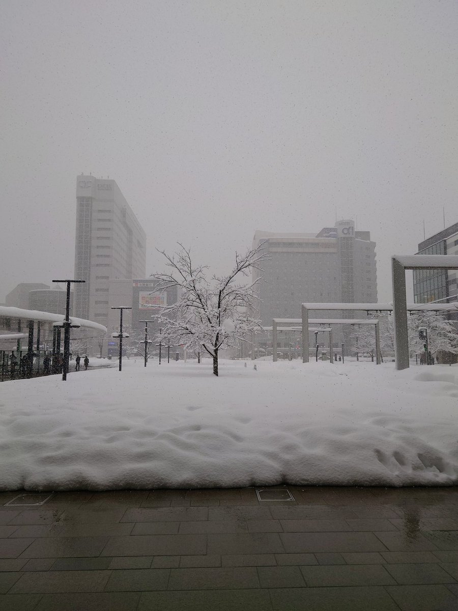 juo_0210's tweet photo. 寒い🥶 https://t.co/dClK1wNEhY