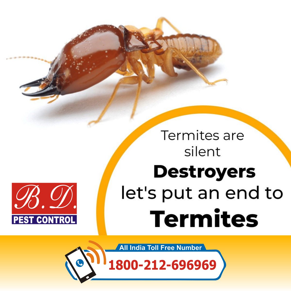 bdpcindia's tweet image. Hire Professional Pest Control Solutions to Prevent Infections &amp;amp; Diseases Caused by Harmful Insects
 Contact B. D. Pest Control, pestcontrol.bdpcindia.in
#Pest_Control #Home_Pest_Control #Pest_Control_Service #Commercial_Pest_Control #BD_Pest_Control #PestFreeHome