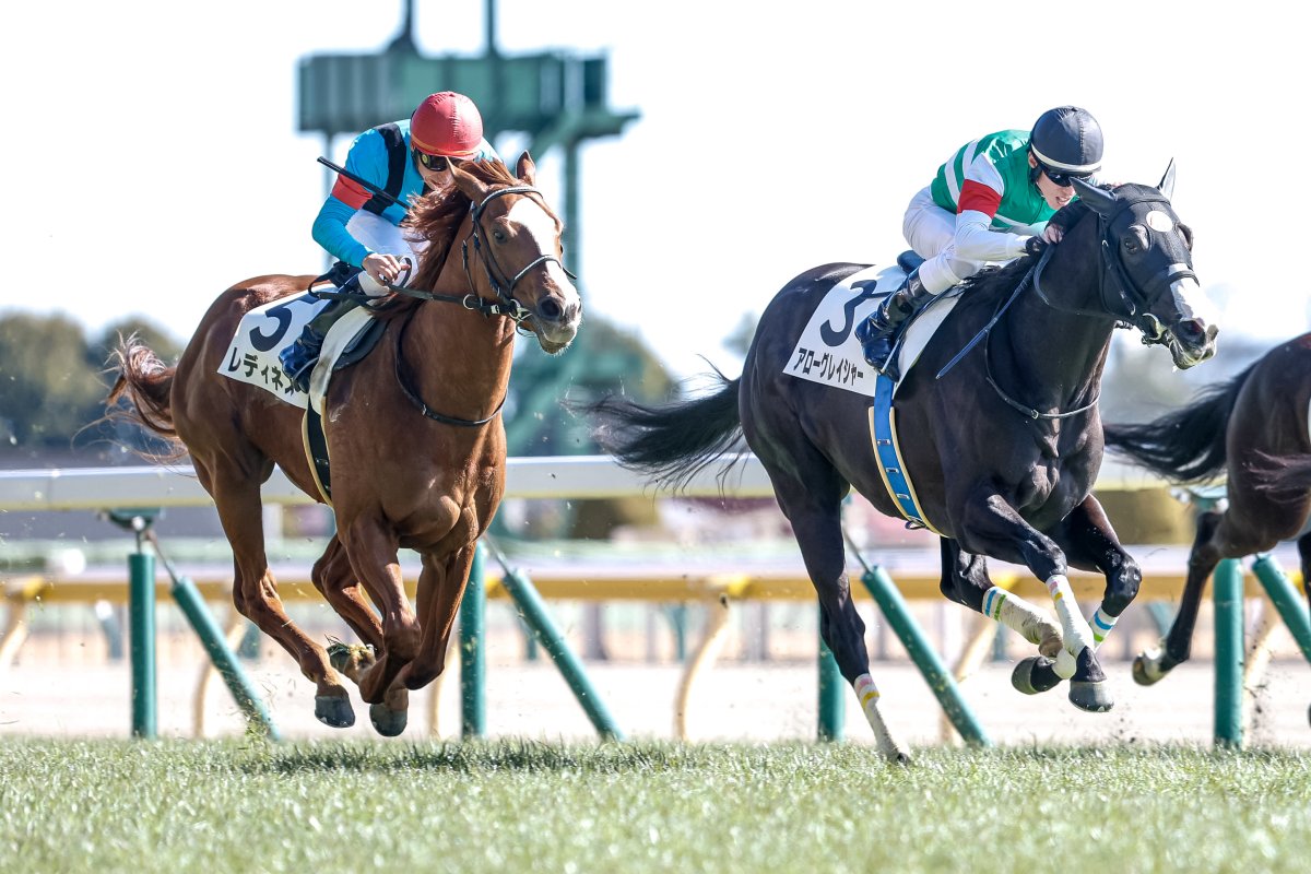 東京5R 3歳新馬(芝1800)】 #レディネス 父スワーヴリチャード 母リトル