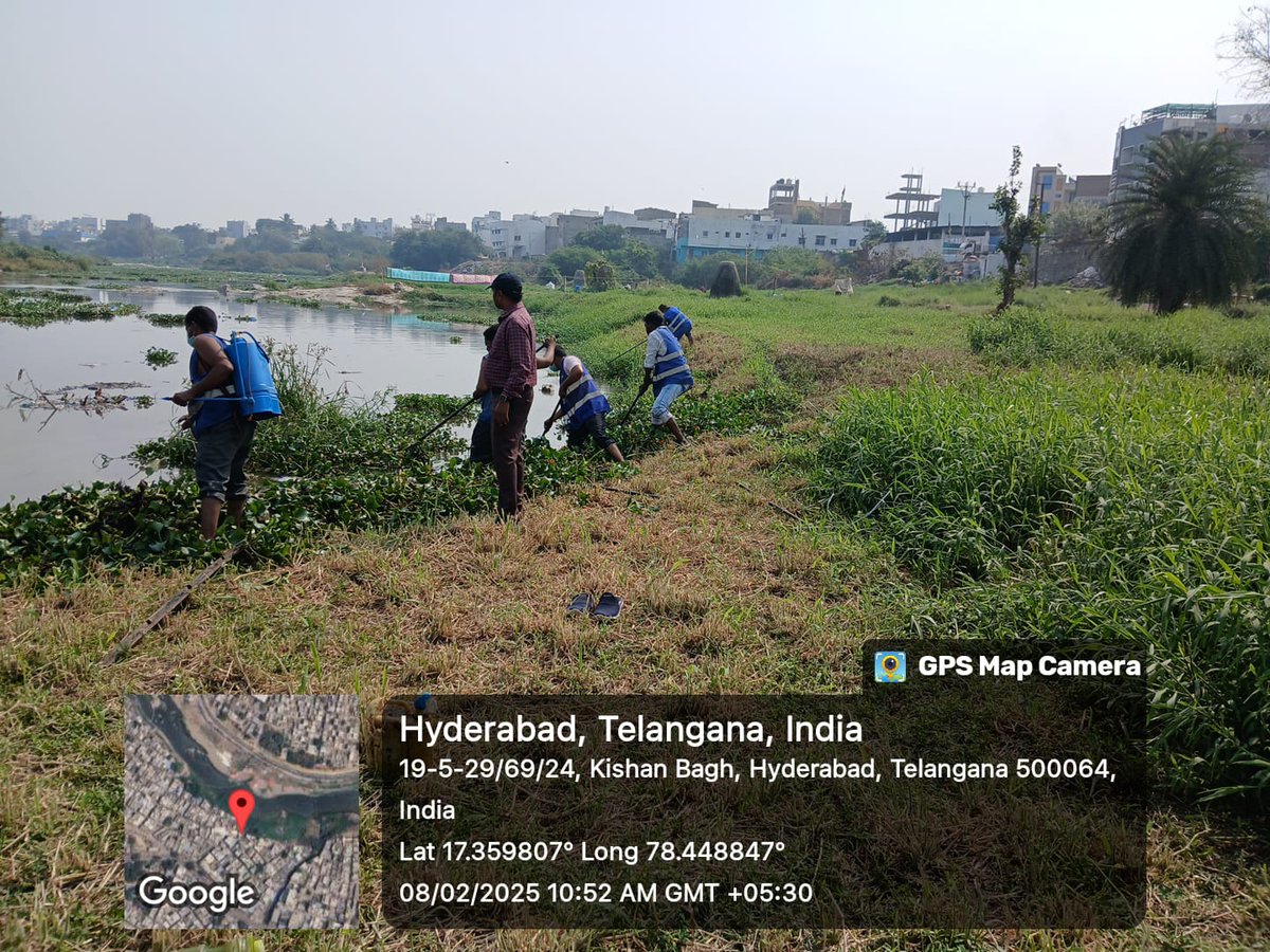 AFalaknuma's tweet photo. @abdulbaseer92 @GHMCOnline @CommissionrGHMC @gadwalvijayainc Asst.Entomlogist monitoring musi river water hyacinth removal at Mahmood nagar kishanbagh Division circle 10 Falknuma https://t.co/gJZNOFSO88