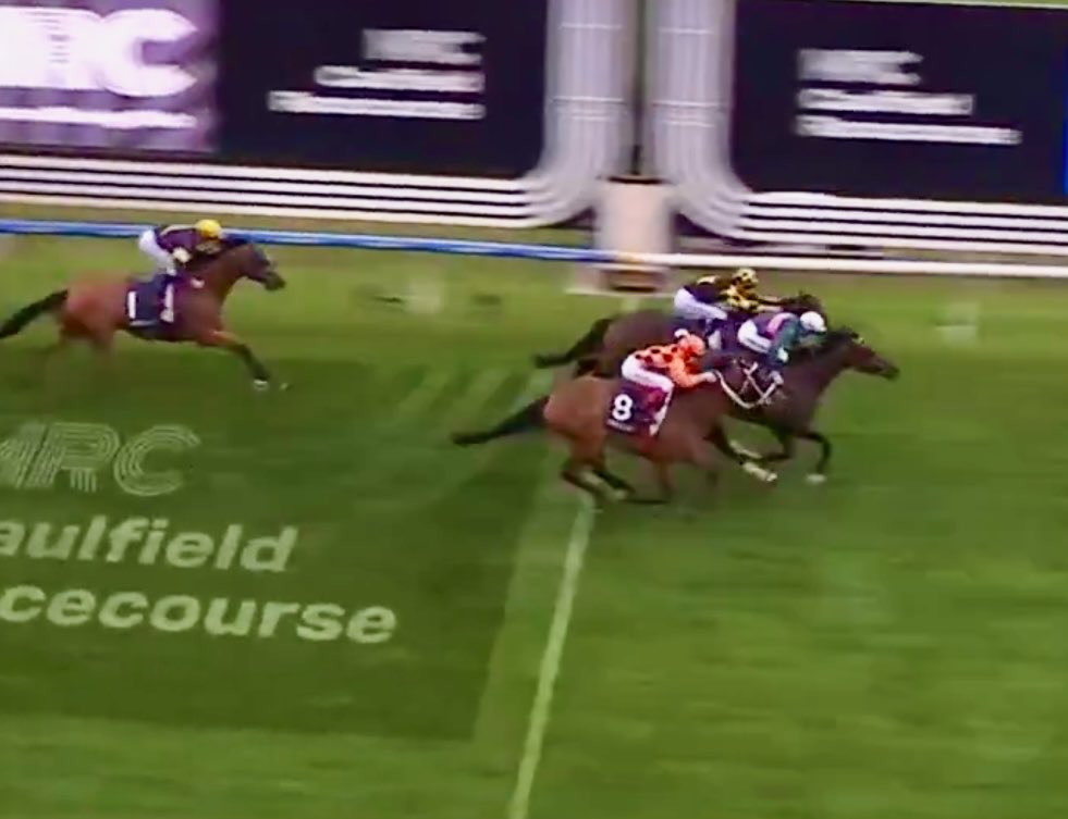 Johnny McKeever (@johnnymckeever1) on Twitter photo Absolutely marvellous to see GARACHICO back up that memorable Heritage Cup Melbourne Cup Day win with a first up preparation salute in the@MelbRacingClub Hoof Hustle over just 2000m
<a href="/suttonracingdom/">Sutton Racing</a>
<a href="/HTCoffey/">Harry Coffey</a>
<a href="/InfoArqana/">ARQANA</a> €205k buy
#wellshortofbesttrip Absolutely marvellous to see GARACHICO back up that memorable Heritage Cup Melbourne Cup Day win with a first up preparation salute in the@MelbRacingClub Hoof Hustle over just 2000m
<a href="/suttonracingdom/">Sutton Racing</a>
<a href="/HTCoffey/">Harry Coffey</a>
<a href="/InfoArqana/">ARQANA</a> €205k buy
#wellshortofbesttrip