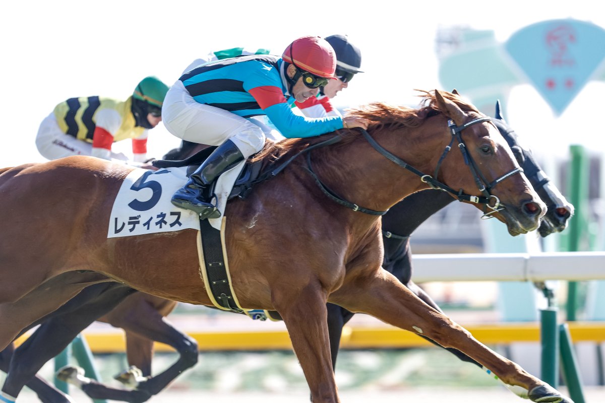 東京5R 3歳新馬(芝1800)】 #レディネス 父スワーヴリチャード 母リトル