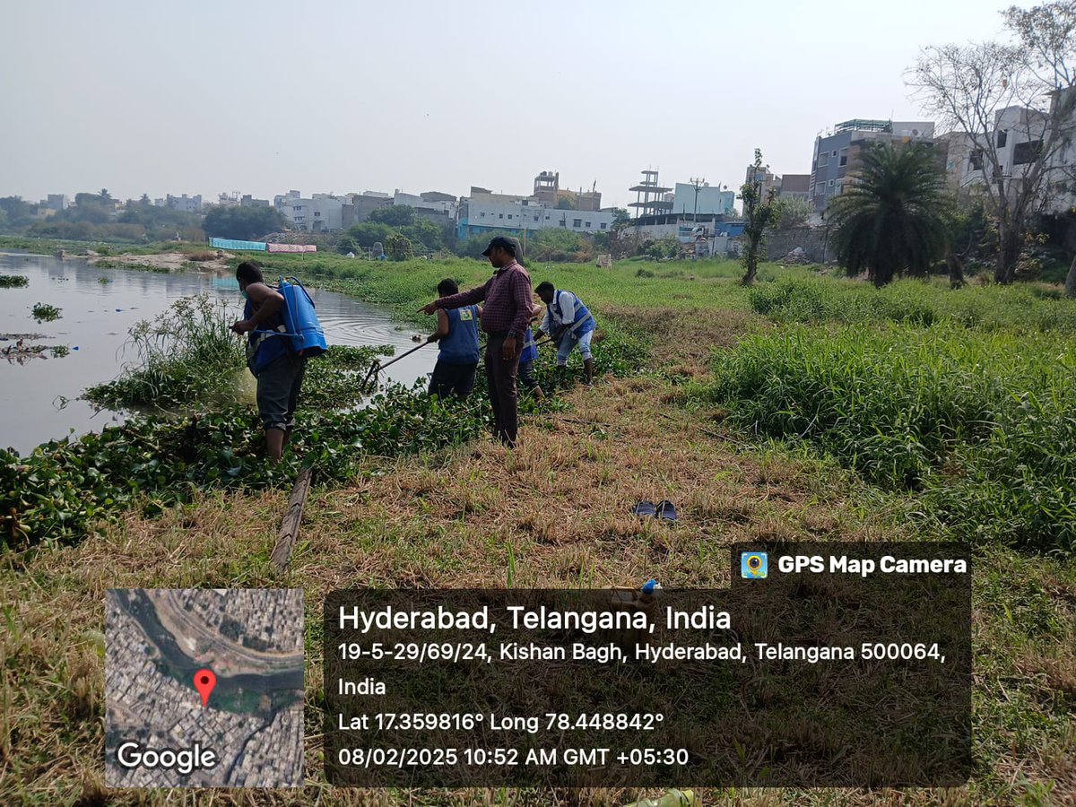 AFalaknuma's tweet photo. @ArjunSi31557420 @GHMCOnline @CommissionrGHMC Asst.Entomlogist Monitoring Water Hyacinth Removal and MLO oil spraying in Musi river at Shareef Nagar and Bahadurpura Hb colony  Kishanbagh Division circle 10 Falaknuma https://t.co/aUh0An5W7R