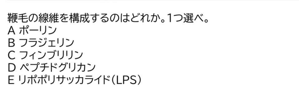今年の必修では細菌の鞭毛の成分が問われました。その他、グラム陰性菌