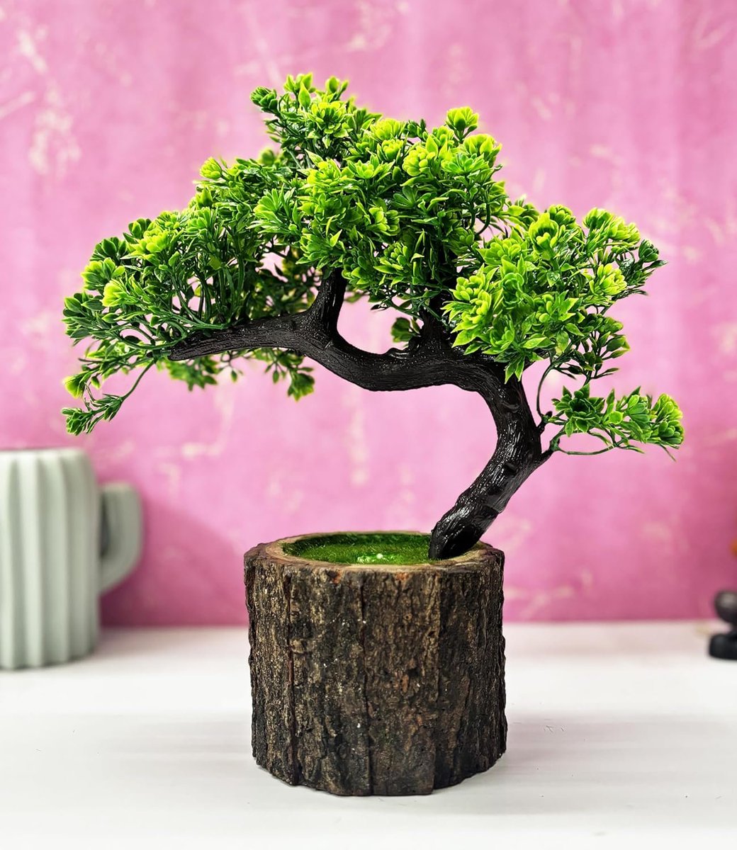 arivomkadaioffi's tweet image. 8. Indoor Office Desk Plants Collections #OfficeHacks
🔅Lucky Bamboo (Rs.249): amzn.to/3Eu524Q
🔅Golden Money Plant (Rs.273): amzn.to/3CKm6TF
🔅Green Zamia (Rs.399): amzn.to/414bkB1
🔅Small Artificial Plant Bonsai Tree Fake Plant (Rs.259):…