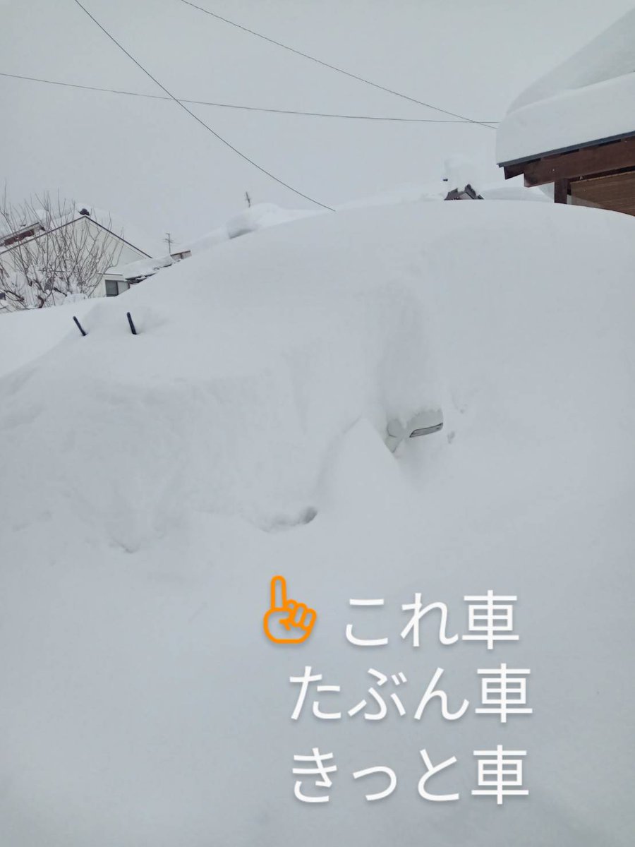 key042513's tweet photo. この、災害級の大雪。
生まれて初めての経験…

敷地内に雪置き場がもう無い。
雪捨て場が無い。
全身が痛くて限界😭

でも、泣き言行ってる隙無し。
夜中に何回も除雪やらなくちゃ
とんでもない事に…

重機じゃないと、これはどうしようもないよねー？ https://t.co/cZgmZzWjvB
