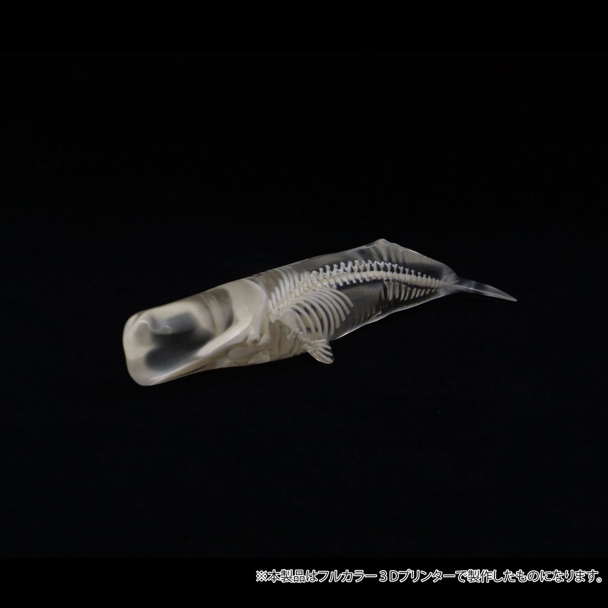 商品リニューアルのお知らせ📣】 弊社、ECサイト・イベントで販売中の