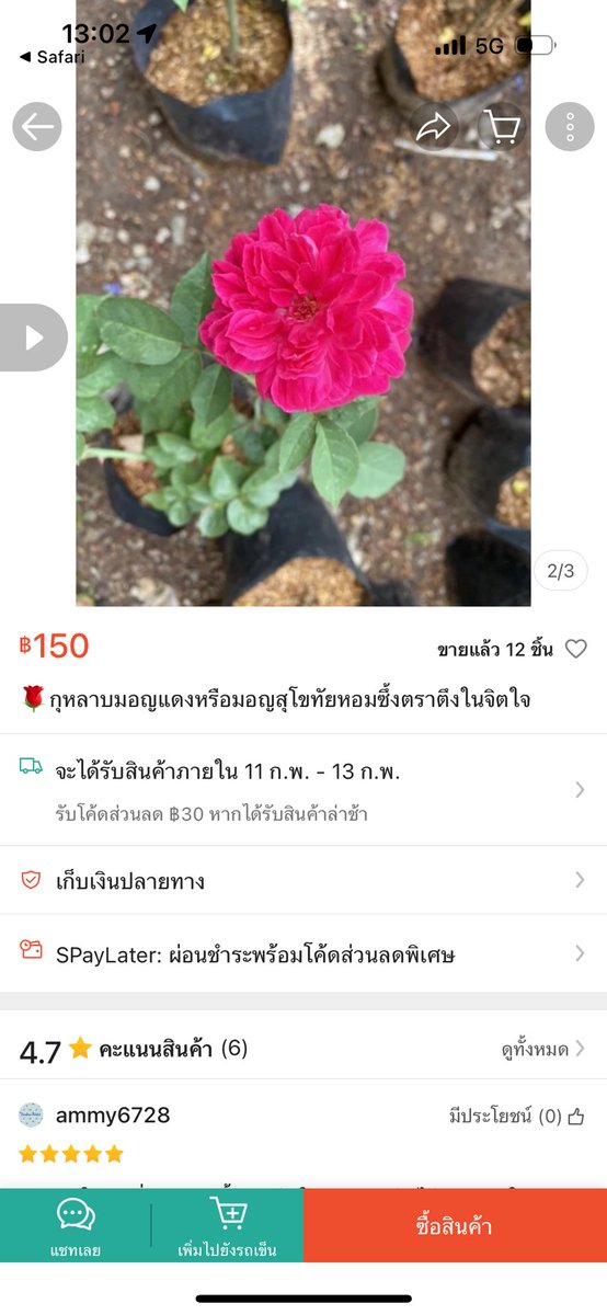 dekkonnija's tweet image. กุหลาบแดงที่ข้อสอบพูดถึง:
กุหลาบเเดงที่กุเข้าใจ:
#netsat #netsat68