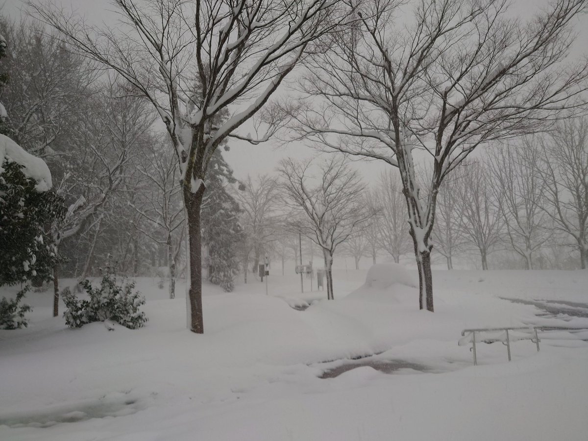 clown_R_T's tweet image. 出張から帰ってきました。
とにかく雪がすごかったw