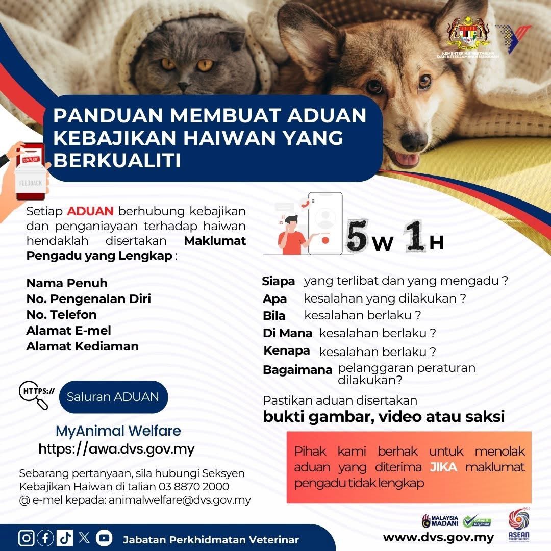 DVSMalaysia's tweet image. Aduan yang berkualiti membantu tindakan yang lebih efektif! 

Jika anda ingin melaporkan kes penderaan atau pengabaian haiwan, pastikan aduan anda lengkap dan jelas. Ikuti infografik ciri-ciri aduan yang berkualiti sepeti berikut.