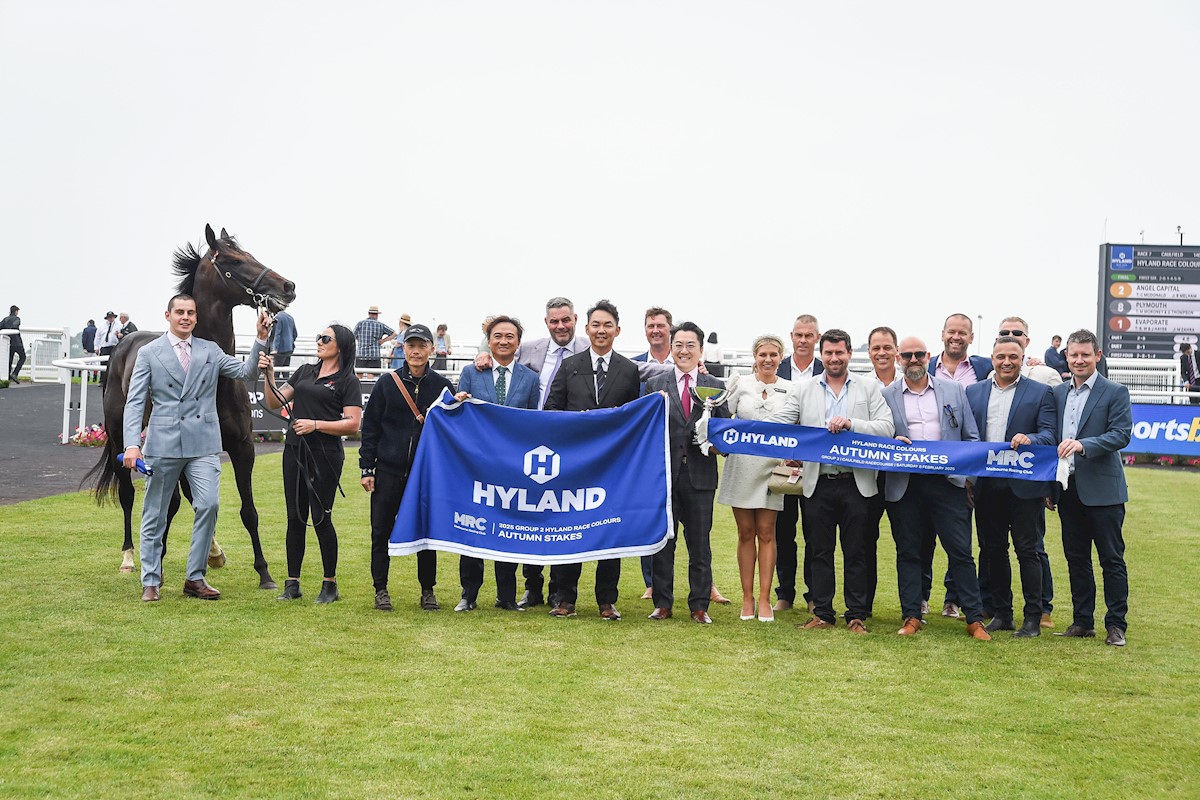 ANGEL CAPITAL (Harry Angel) for <a href="/cmcdonaldracing/">C McDonald Racing</a> returns for his 3YO autumn campaign with the easiest oif victories in G2 Autumn Stakes <a href="/MelbRacingClub/">Melbourne Racing Club</a>. The colt is a $400k #InglisPremier buy for <a href="/UpperBloodstock/">Upper Bloodstock</a> and Gregory Ho from <a href="/millparkstud/">Mill Park Stud</a>