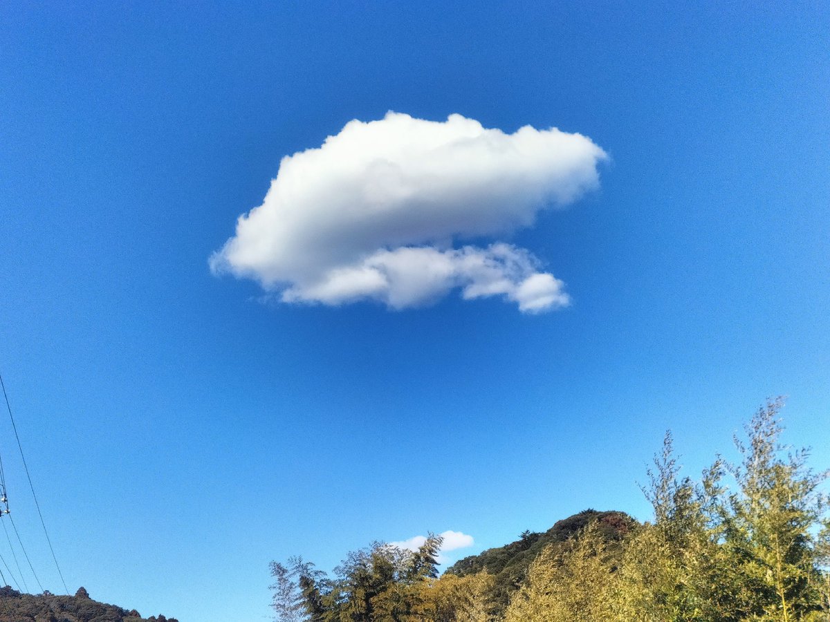kaitakusya02's tweet photo. 美味しそうな雲
#田舎暮らし　#散歩　#移住　#房総半島　#定年退職　#家庭菜園　#ウォーキング　#林道 　#花　#いい空気　#二拠点生活　#開拓　#開墾 https://t.co/aE4XcGCRbs