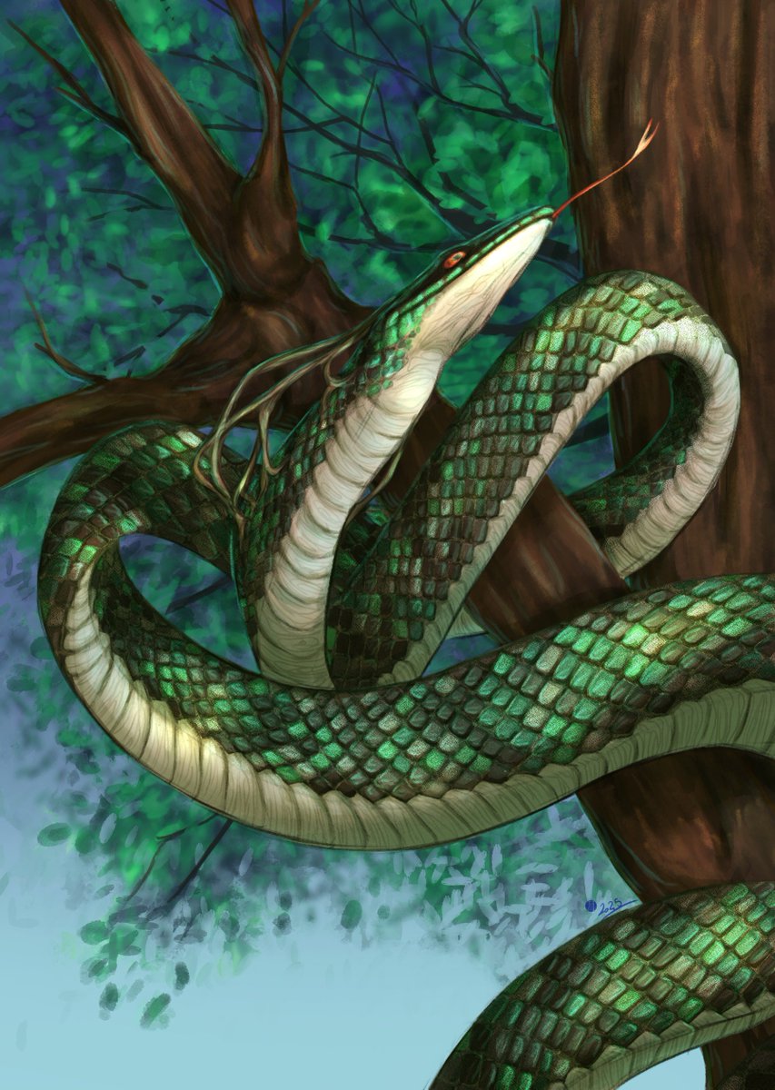 Melckia - COMMISSIONS OPEN - tweet media