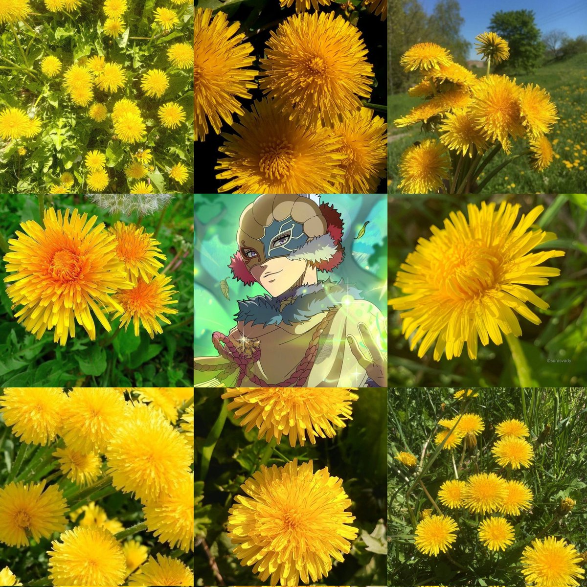 zenlikesyou's tweet photo. #blackclover #yamiwill https://t.co/4xrFRfyGow