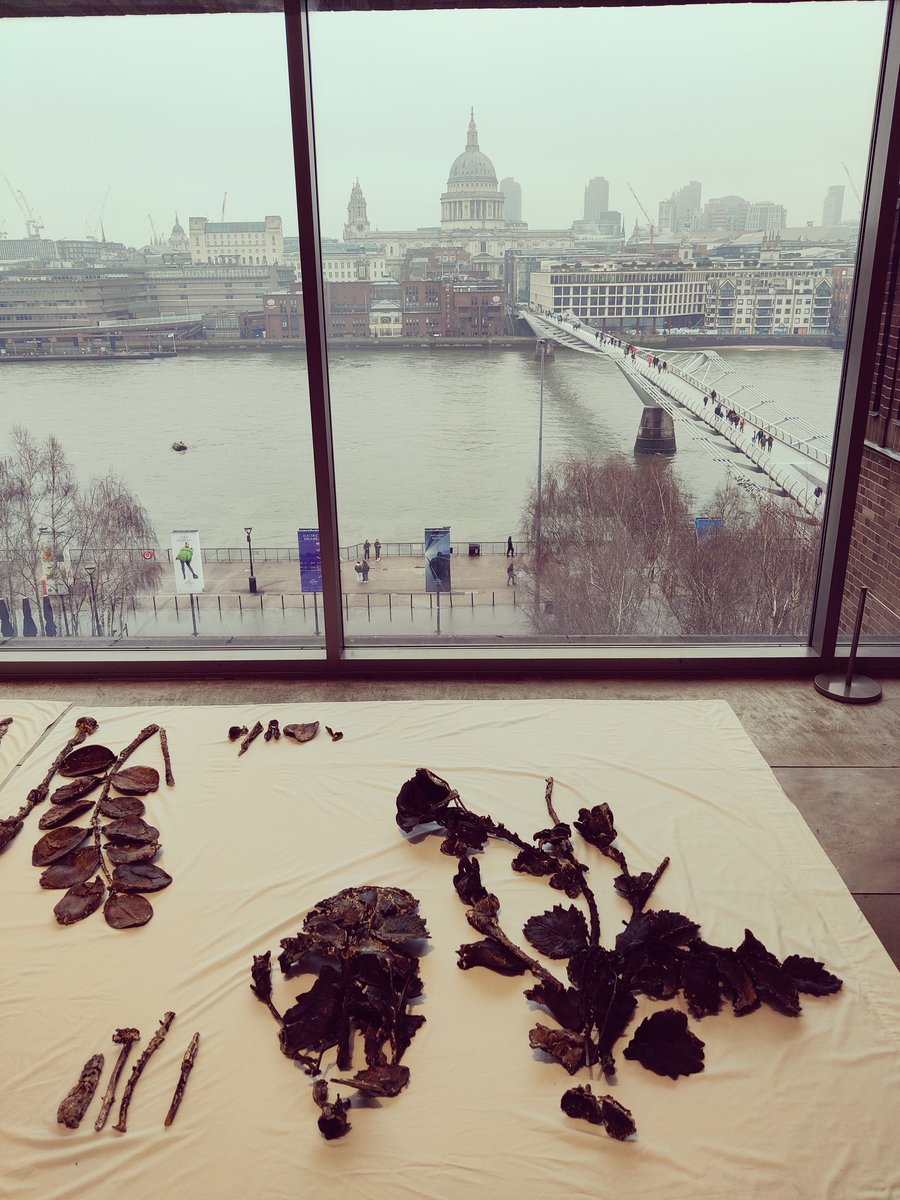 New display at <a href="/Tate/">Tate</a> (on level 4 of the Natalie Bell building).
But is it the #art or the murky view of St Pauls that's getting more attention?🤔🤔🤔