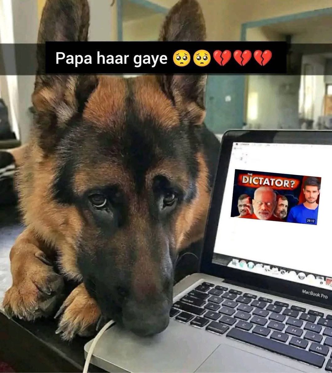 PiyushR16141663's tweet photo. Bhai Mera German shepherd dukhi lagra hai🤣 #DelhiElectionResults https://t.co/DOCGfw6KfW