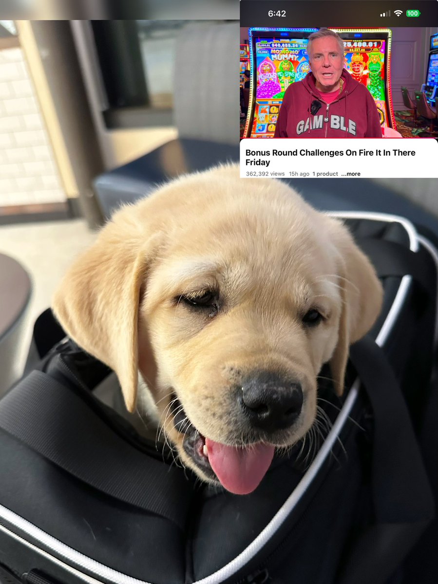 At the airport with our newest family member, watching <a href="/itsvegasmatt/">Vegas Matt</a> win a big check! Thank you guys for all the entertainment. <a href="/TheRealWBG/">WBG</a>