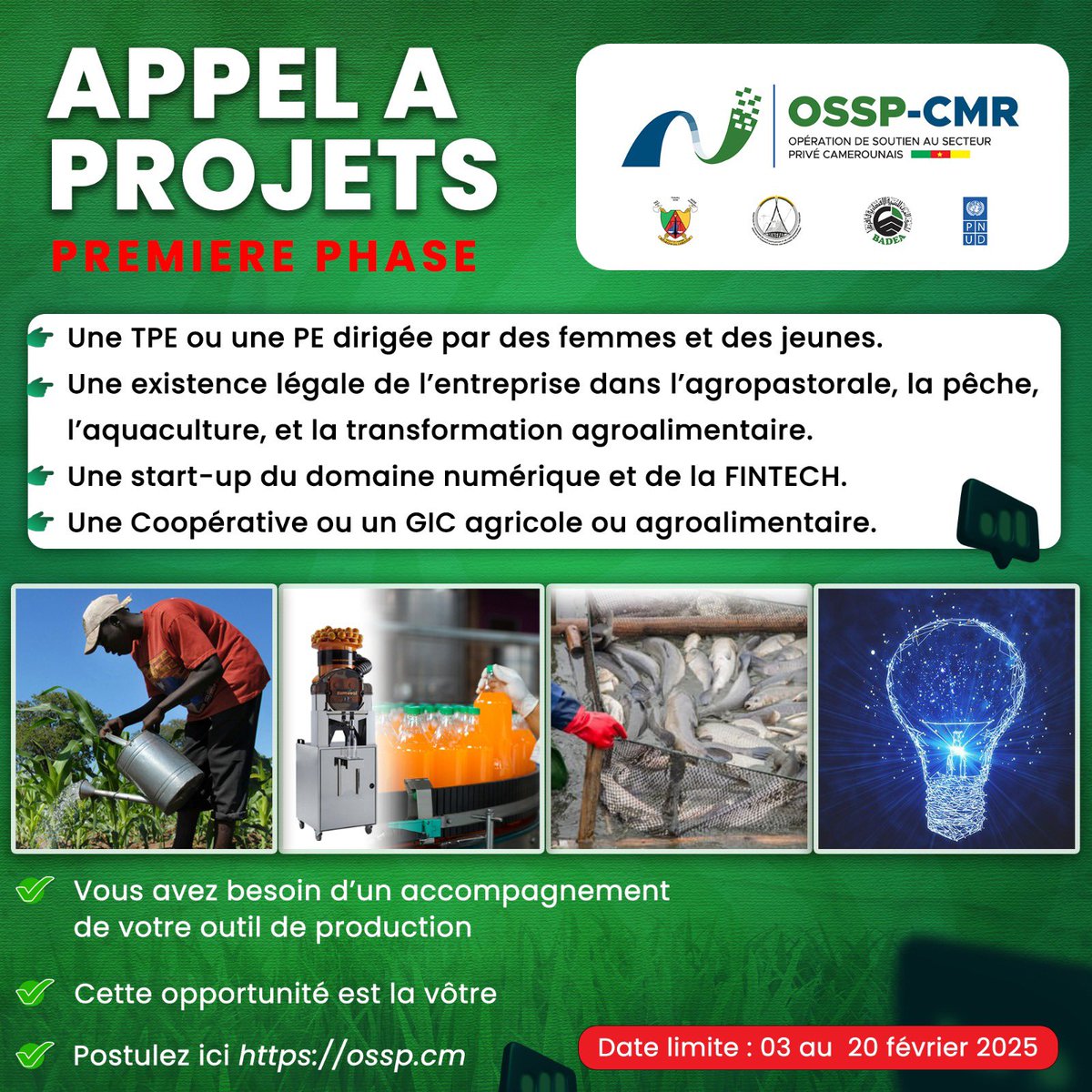 PNUD Cameroun tweet media