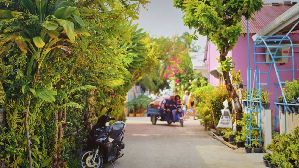 Shezamohamed's tweet photo. Loving the green roads of K. Guraidhoo https://t.co/sztFlgy7d8