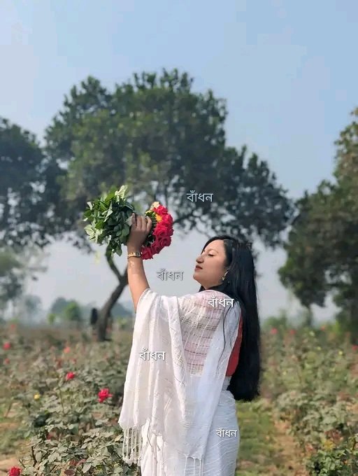 গোলাপের মাঝেই 
হারিয়ে যায় আমি 
তখনই যখনই তুমি 
গোলাপের ছোঁয়ায় 
এ মন কে তুমি ছুয়ে 
দাও স্বপ্নের তুলিতে
স্বপ্নে এঁকে যাও💞

আমার সকল টুইটার বন্ধুদের কে 
   🦋🦋সন্ধ্যার শুভেচ্ছা🦋🦋
🍃🍃🌱🌱🌱🍀🌱🌱🌱🍃🍃