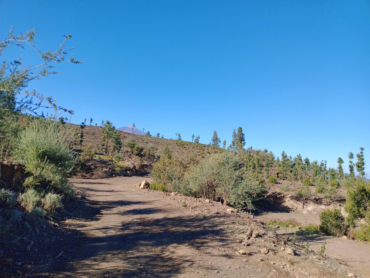 Si el monte te dice ven,pues vete.....