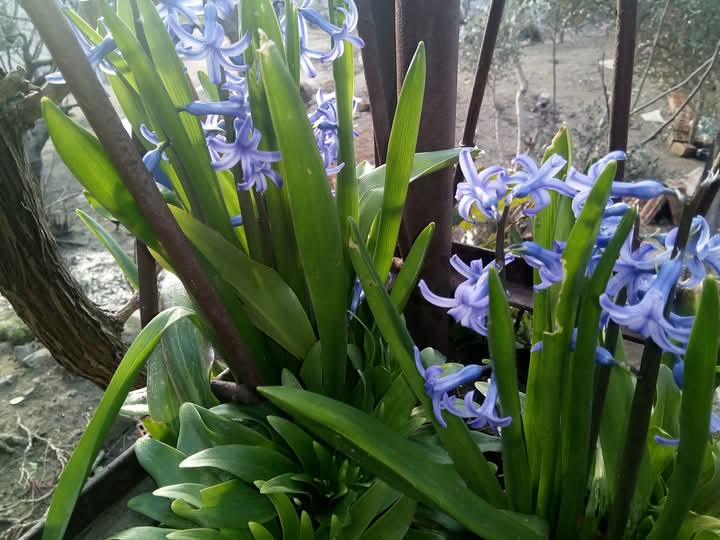 ilyas (@ilyas98139045) on Twitter photo 