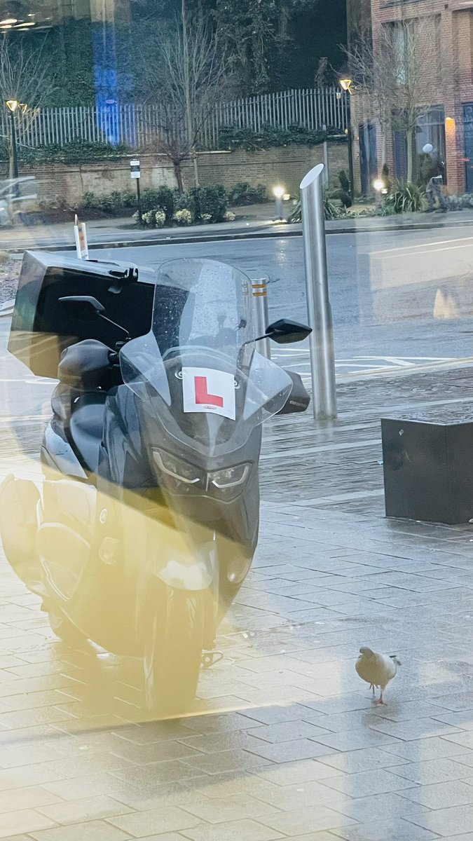 GrayhamB1963's tweet photo. @sc6601 Provisinal for business ?? - a daily occurrence in Sunny #Redhill #McD https://t.co/V8aWRoNhUC