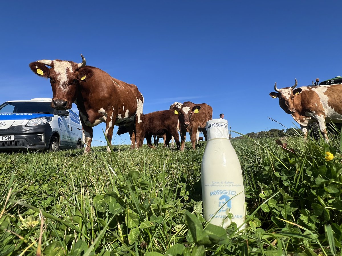 🚫 BOVAER: IT'S HERE TO STAY 🚫

Bovaer is being discussed again in the media, with a few articles popping up this week in the moos.
There's been chat about the factory making it (based in Dalry here in Scotland) ramping up the production and getting ready to deliver worldwide.