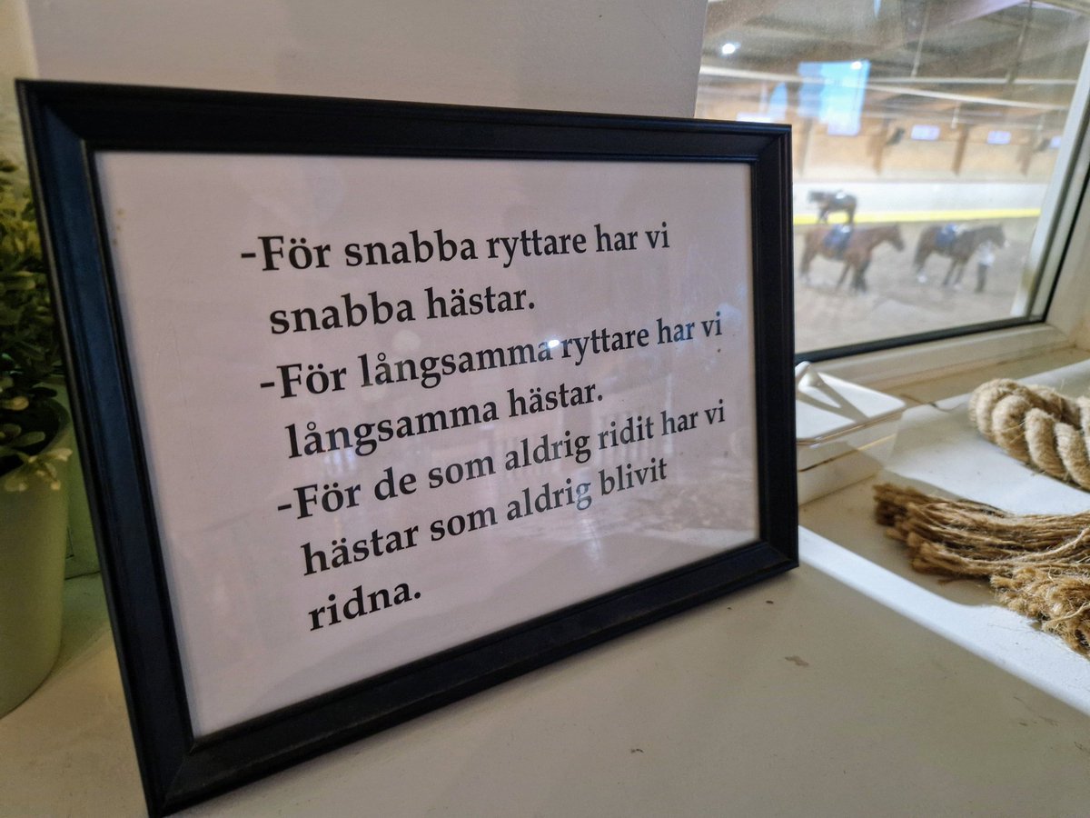 Lördagsnöjet. Tränsat en riktig suris, hästar är tydliga med sina vårkänslor