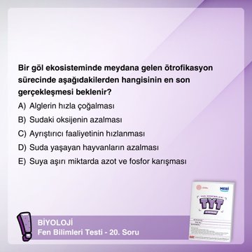 Resim