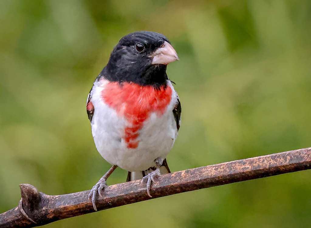 Gary Ladner tweet media