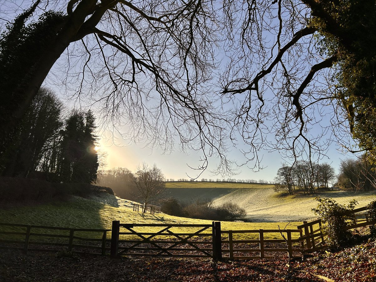 Dull And Grey Today ( so here is one from 2 days ago in the frost ) 0°C . Rooks. ( away for a few days , back soon )