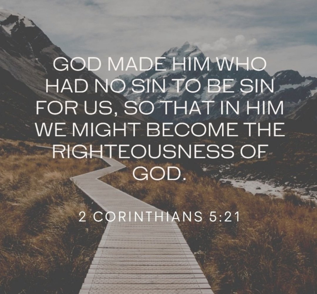 RED PILL MONKEY 🔴🐒 tweet media