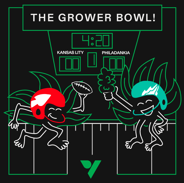 Which team do you think will take home the championship this year?

#superbowl