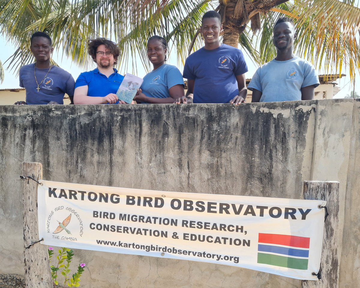 Kartong Bird Observatory 🇬🇲 tweet media