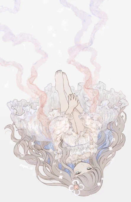 くらげ 