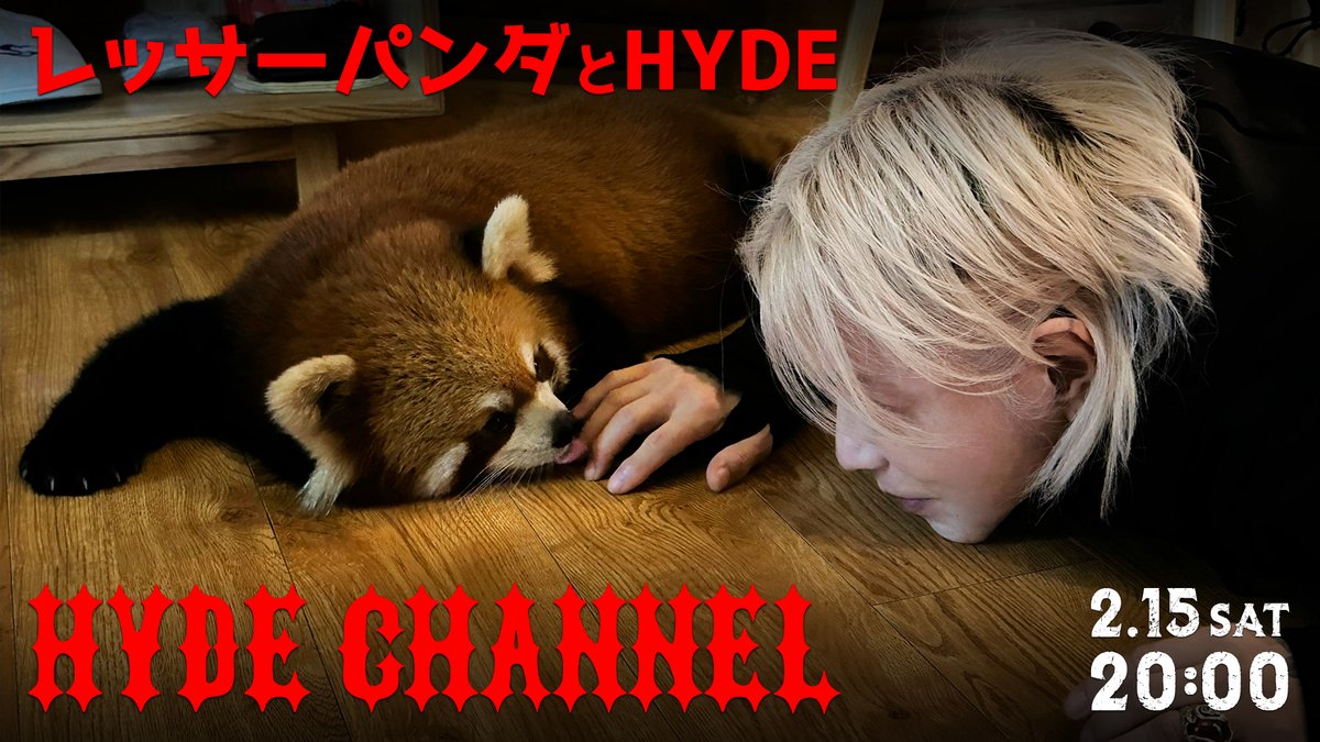 HYDE CHANNEL史上最高のかわいさ！
レッサーパンダを愛してやまないHYDEの、秘蔵レッサーパンダ訪問映像がついに公開！

レッサーパンダとHYDE
【2/15(土)20:00〜放送】
ch.nicovideo.jp/hydeofficial/b…

<a href="/HydeOfficial_/">Hyde</a>

#HYDE
#HYDECHANNEL
#レッサーパンダ