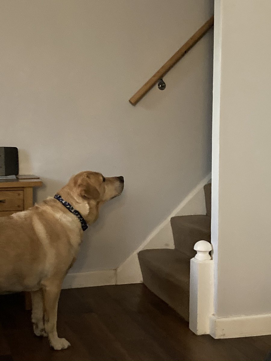 Richard White tweet media