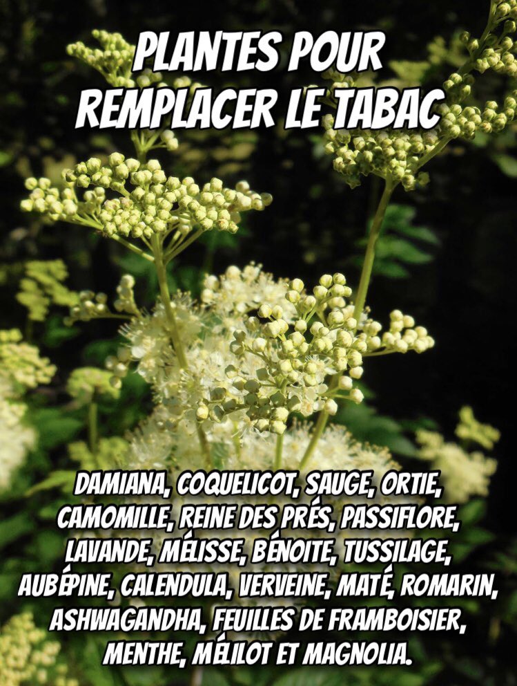 pres_reine's tweet image. Pour remplacer le tabac.  
#fumer #cigarette #tabac