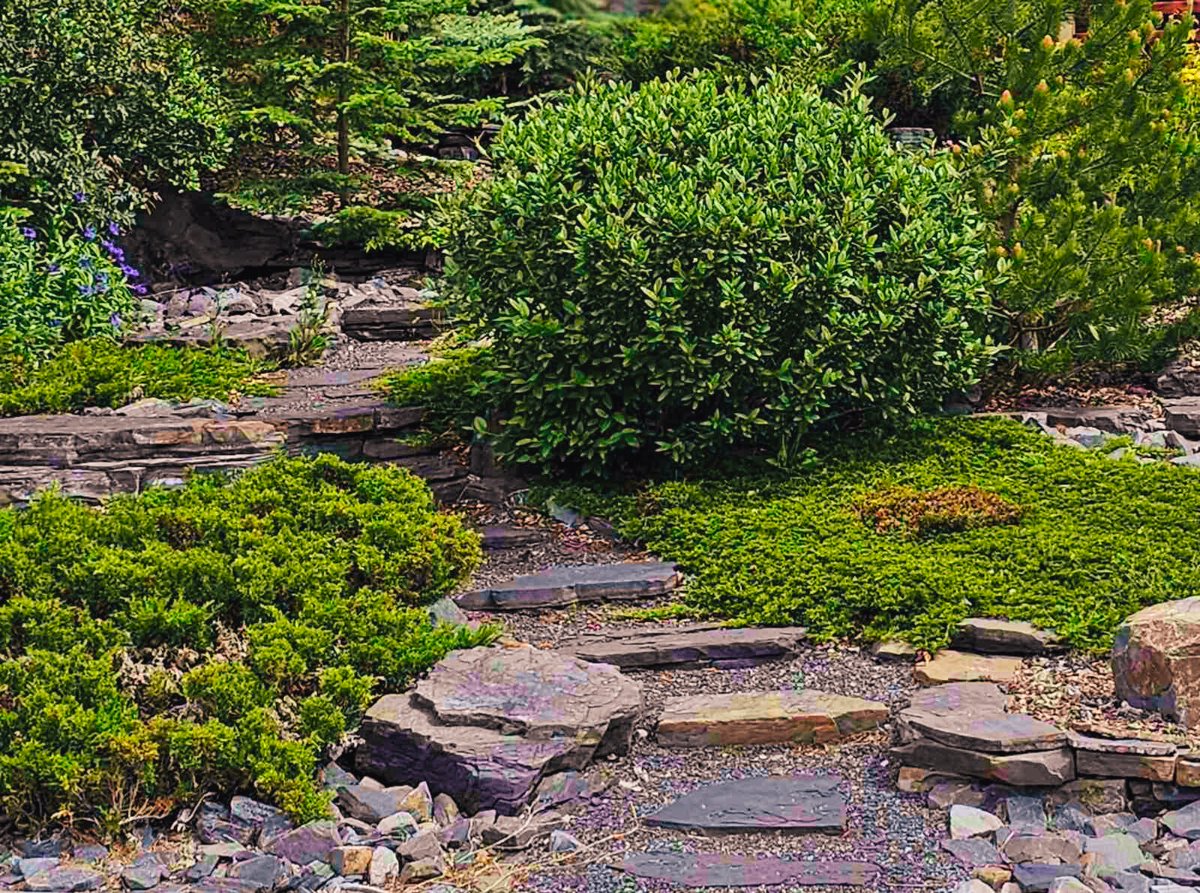 DreamYardTeam's tweet image. Front yard landscaping ideas. These natural stone steps wind gracefully through lush trees and shrubs, creating a welcoming path to the front door. A perfect blend of beauty and function that leads to curb appeal.
#Frontyardlandacaping #Landscapingideas #StoneSteps #CurbAppeal