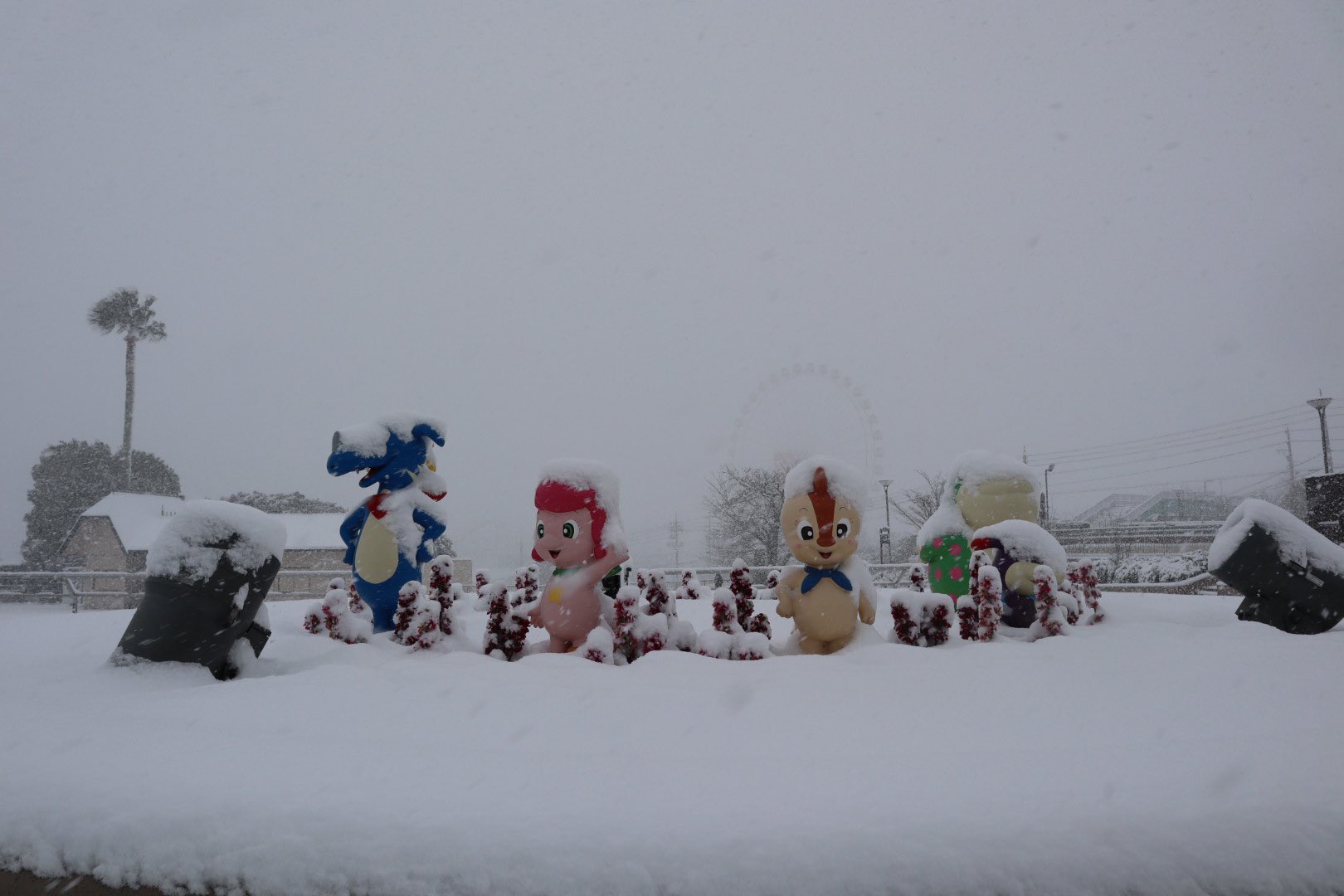 積雪歓迎　 名古屋で初雪、積雪10センチ 名古屋高速は全線通行止め [写真