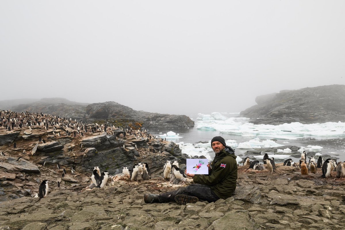 Fiona Sheriff 👨‍👩‍👧‍👧🌍 tweet media