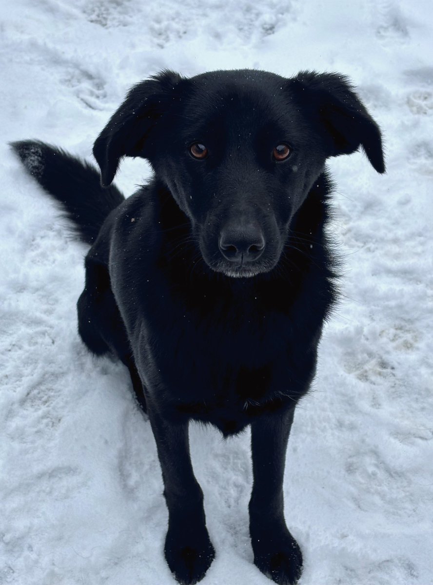 Good morning and have a happy weekend from Betty and me🫶