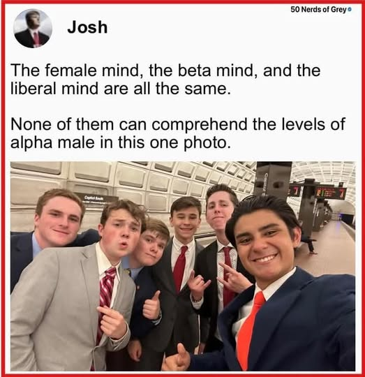 dave lawrence 🐟🐟🐠 tweet media