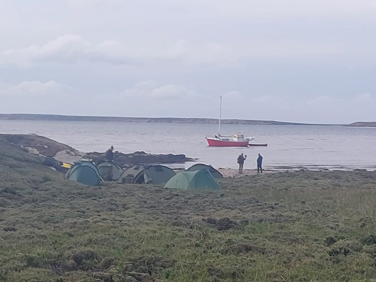 Cockleshell22 tweet media