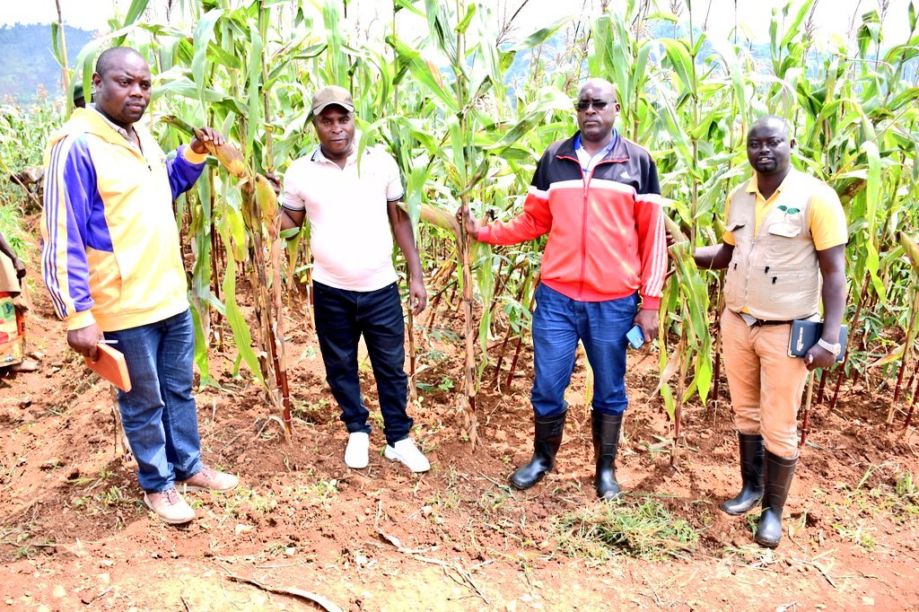 Province Kayanza tweet media