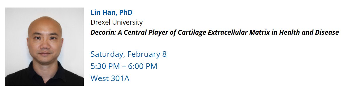 Attending #ORS2025? Don't miss <a href="/nanocartilage/">Lin Han</a> 's Spotlight Presentation on "Decorin: A central player of cartilage extracellular matrix in health and disease" 

Catch it on Sat, Feb 8th from 5:30-06:00 pm in West 301A!
<a href="/ORSsociety/">Orthopaedic Research Society</a> #ORSSMC