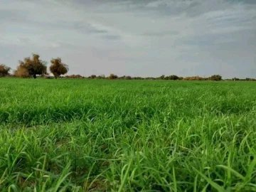 abtsamadamaa's tweet photo. مناظر خلابة من #تنمرورت بلدية المداح ولاية آدرار❤️ https://t.co/2JPl4EMY7C
