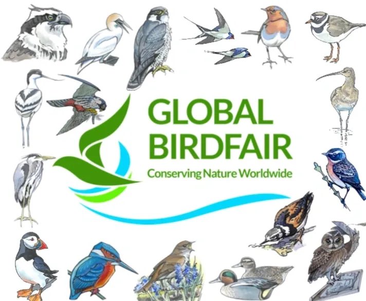 🦆Lots to enjoy at Global Birdfair 2025
🎪 Exhibitor marquees
🔭 Optics: Falcon
📷 Cameras: Hobby
🎨 Art: Puffin
🎤 Events: Osprey
🗣️ Lectures: Avocet, Curlew &amp; Plover
🦉 Workshops: Owl
📚 Authors: Turnstone
🎧 Podcasting: Whinchat
🧑‍⚖️ Auction: Teal
🎟️ gbf.yourticketpurchase.com/p/globalbirdfa…