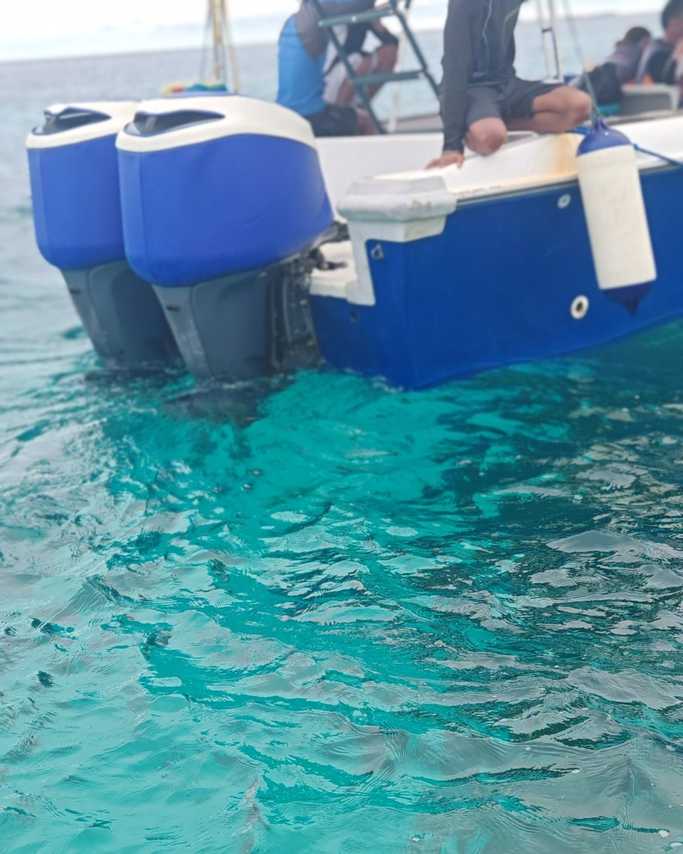 到底是仙本那的水好，虽然今天天气稍差，潜水也是不亦乐乎